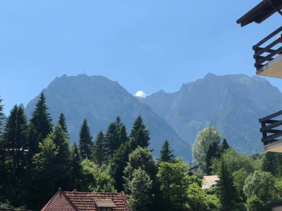 Apartament Extralarge Busteni Bagian luar foto