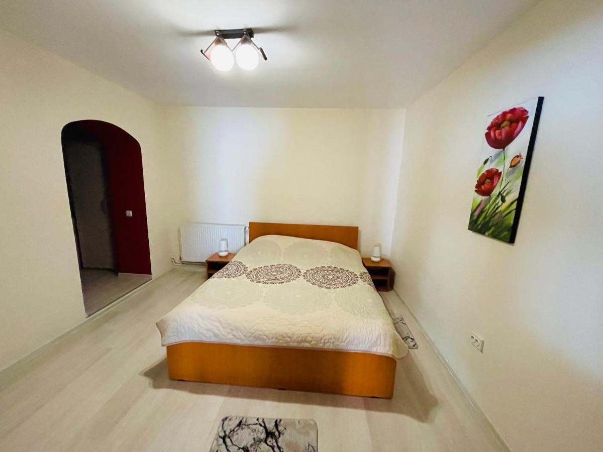 Apartament Extralarge Busteni Bagian luar foto