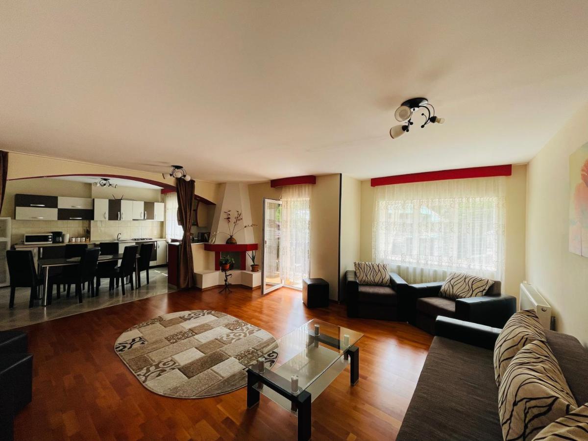 Apartament Extralarge Busteni Bagian luar foto